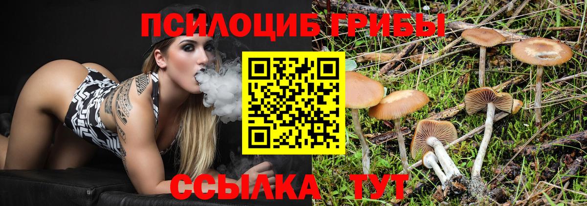 Галлюциногенные грибы мухоморы Курган